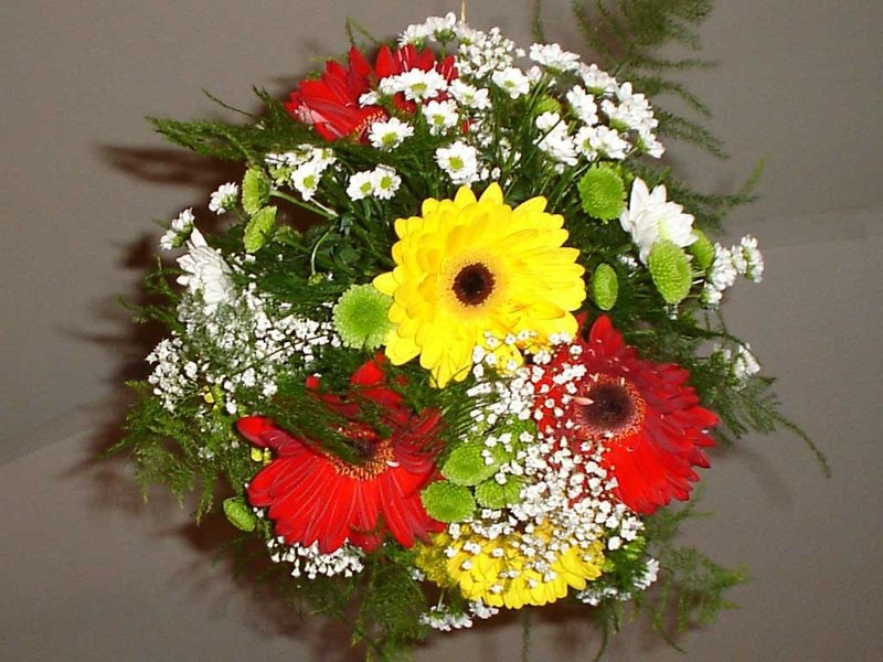 Floraria Aikaterina - aranjamente florale si plante ornamentale